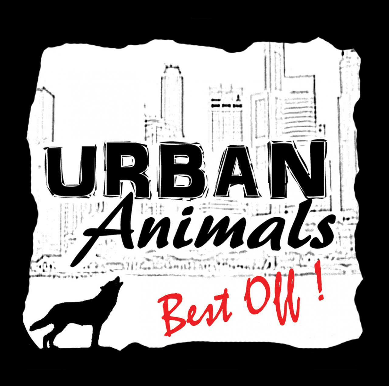 Urban animals-Best off!